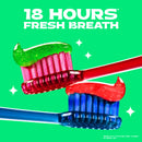Closeup Toothpaste Red Hot 145g