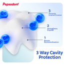 Pepsodent Toothpaste Germi-Check 40g
