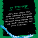 Closeup Toothpaste Menthol Fresh 145g