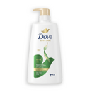 Dove Hairfall Rescue Shampoo (Imported )(UI) 680ml