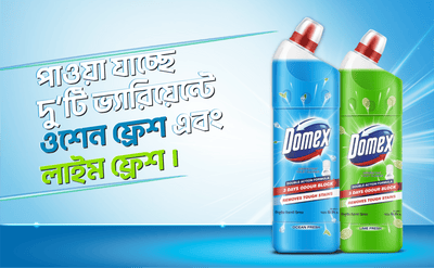 Domex Toilet Cleaning Liquid Lime Ocean Fresh 750ml Get a Container Free Combo Pack