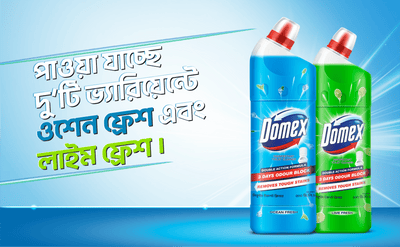 Domex Toilet Cleaning Liquid Lime & Ocean Fresh 500ml Combo Pack
