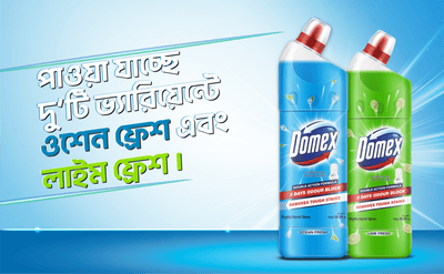 Domex Toilet Cleaning Liquid Lime Fresh 750ml Get a Container Free