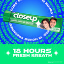 Closeup Toothpaste Menthol Fresh (Twin Pack 2X85g)