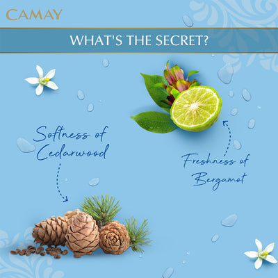 Camay Soap Bar Natural with Fresh Scent 125gm