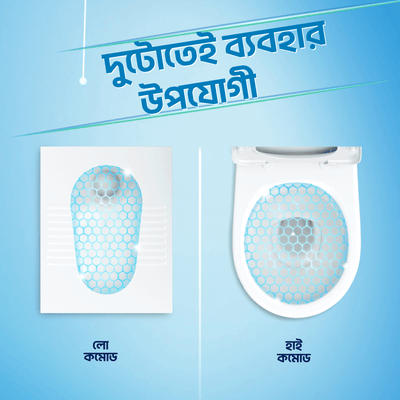 Domex Toilet Cleaning Liquid Lime Ocean Fresh 750ml Get a Container Free Combo Pack